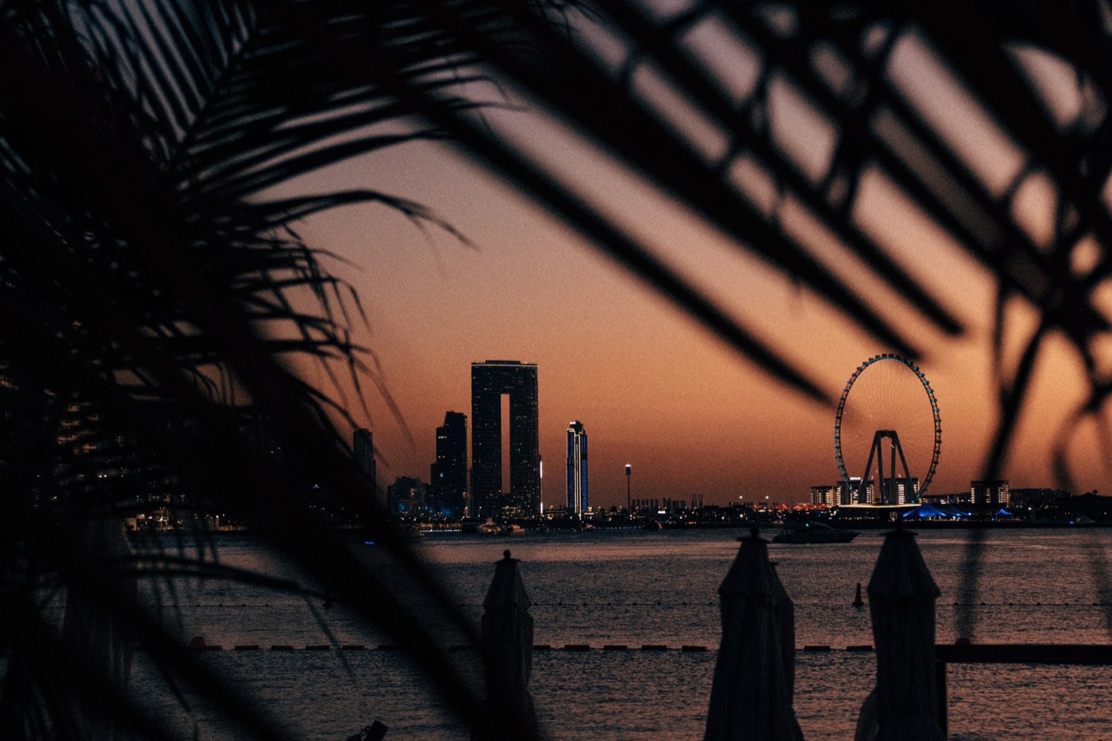 Surf Club Dubai